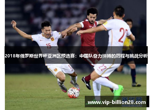 2018年俄罗斯世界杯亚洲区预选赛：中国队奋力拼搏的历程与挑战分析