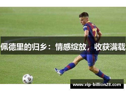 佩德里的归乡：情感绽放，收获满载