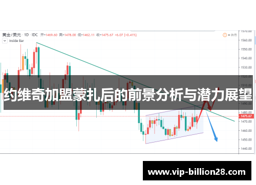 约维奇加盟蒙扎后的前景分析与潜力展望 约维奇加盟蒙扎后的前景分析与潜力展望